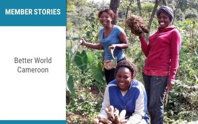 Better World Cameroon: Social permaculture