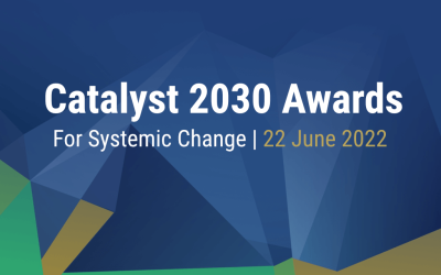 Catalyst 2030 announces global award winners