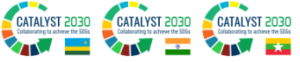 Catalyst 2030 Chapter logos with flags