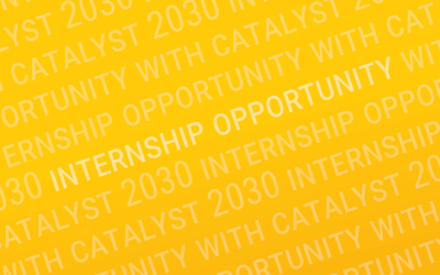 Catalyst 2030 Internship: Systems Learning Team Connections Intern