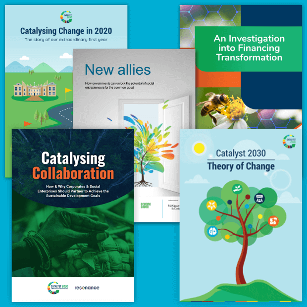 Catalyst 2030 - 2021 reports