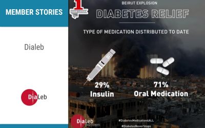 DiaLeb: Offering support for people with diabetes
