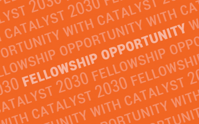 Catalyst 2030 fellowship – Eastern Europe coordinator