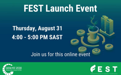 Accelerating Systems Change: Catalyst 2030’s FEST initiative launches