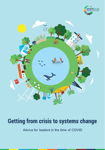 Getting from Crisis to Systems Change report cover