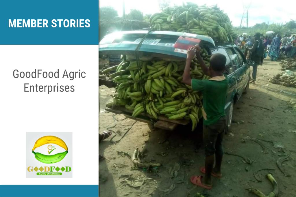 Good Food Agriculture Catalyst 2030 member story