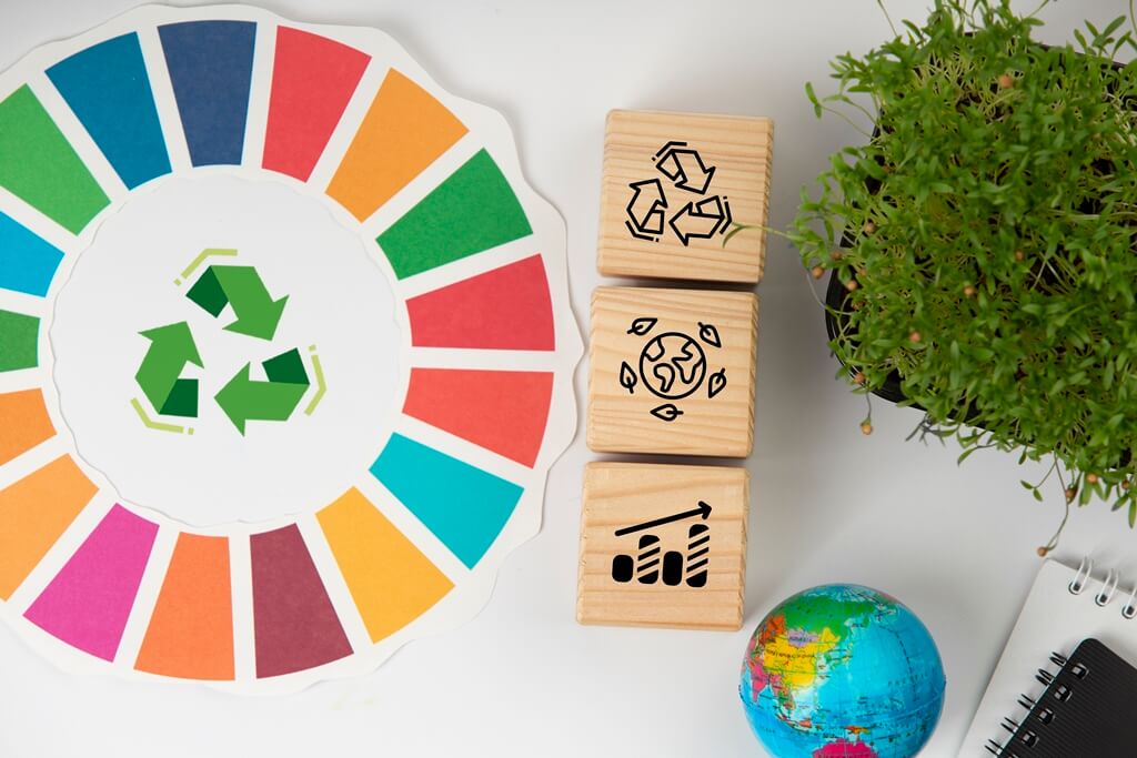 SDGs and the circular economy
