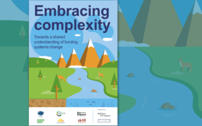 Embracing Complexity: Towards a Shared Understanding of Funding Systems Change
