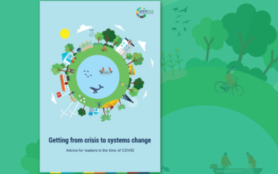 Getting from crisis to systems change: Advice for leaders in the time of COVID