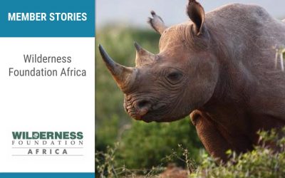 Wilderness Foundation Africa:  Taking action to protect species, spaces and people