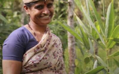 Transforming global supply chains by integrating equity, climate, and gender.