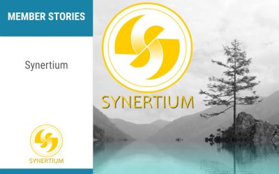 Synertium: Supporting emerging organisations to develop business models that foster the SDGs